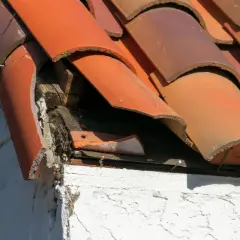 Tejas rotas y madera expuesta en un tejado antiguo, indicando la necesidad de impermeabilizar tejado antiguo para evitar daños mayores.