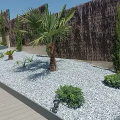 Un jardín moderno con palmeras y cipreses, decorado con piedras blancas y luces integradas.