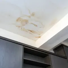 Manchas marrones y círculos oscuros en el techo blanco indican goteras. Los gabinetes de madera oscura debajo parecen seguros.