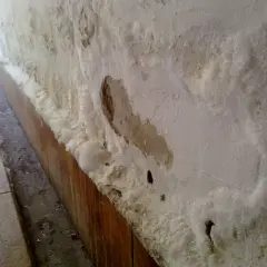 Pared con eflorescencias salinas y desconchones, indicativo de humedad por capilaridad. Se busca el mejor sistema para quitar humedades por capilaridad.