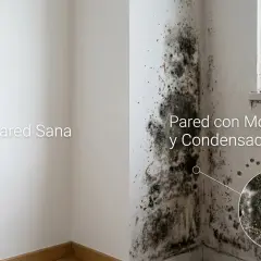 Comparación de una pared sana con otra afectada por moho y condensación. El moho en la pared se muestra en detalle.