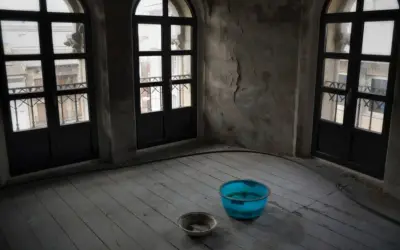 Habitación con tres ventanas arqueadas y suelo de madera. Hay dos cubos en el suelo, uno azul y otro gris, recogiendo agua. Se puede caer el techo por una gotera.