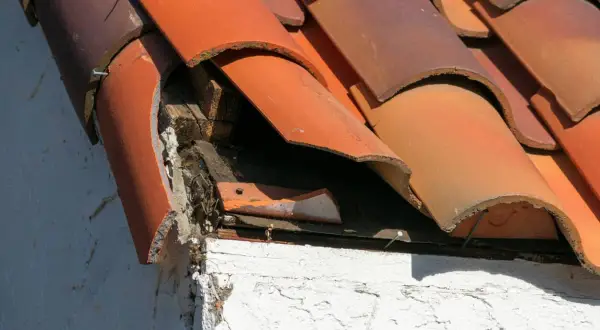 Tejas rotas y madera expuesta en un tejado antiguo, indicando la necesidad de impermeabilizar tejado antiguo para evitar daños mayores.