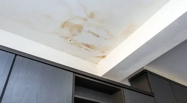 Manchas marrones y círculos oscuros en el techo blanco indican goteras. Los gabinetes de madera oscura debajo parecen seguros.