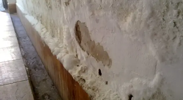 Pared con eflorescencias salinas y desconchones, indicativo de humedad por capilaridad. Se busca el mejor sistema para quitar humedades por capilaridad.