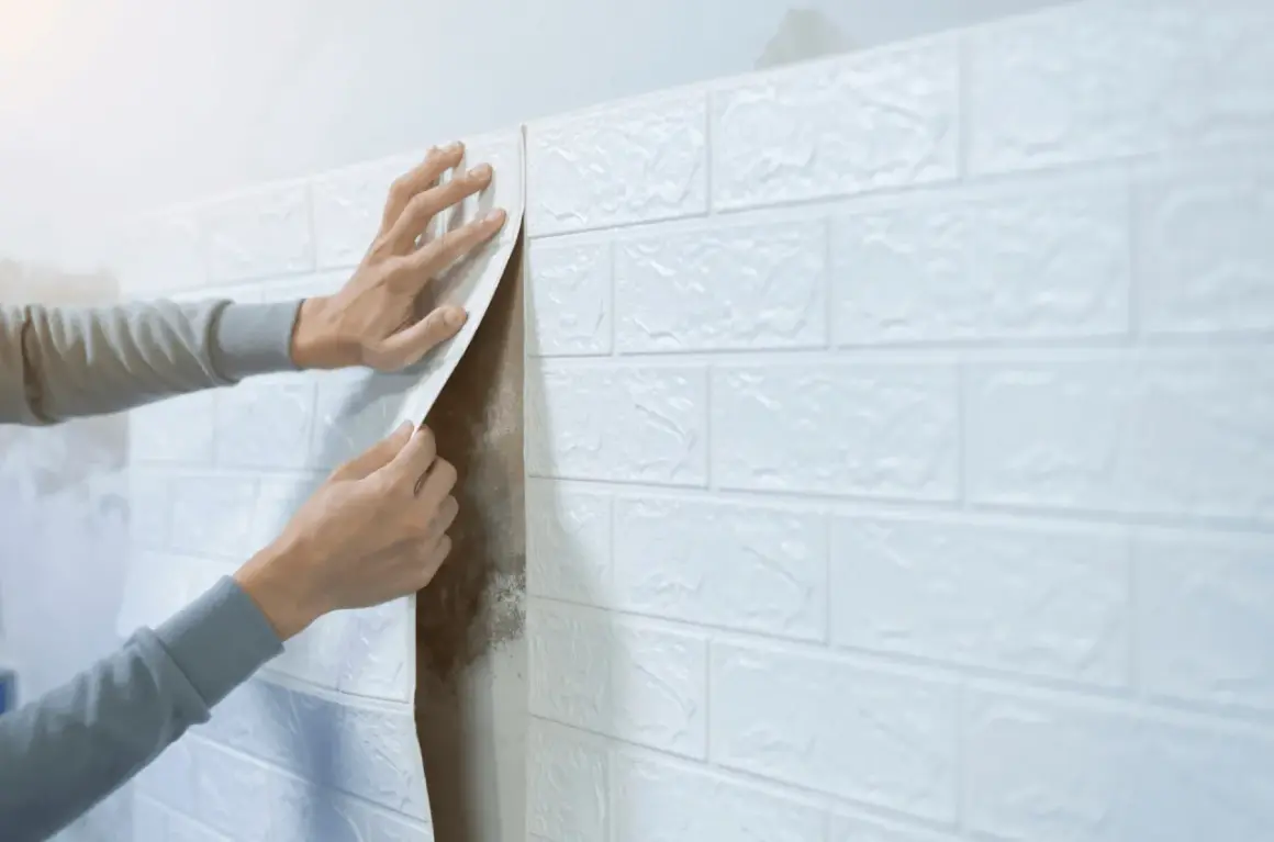 Man applying white brick wallpaper to a wall, covering up mold. Una solución para problemas de humedad.