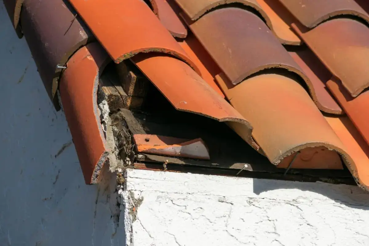Tejas rotas y madera expuesta en el borde de un tejado, indicando la necesidad de reparar tejado.