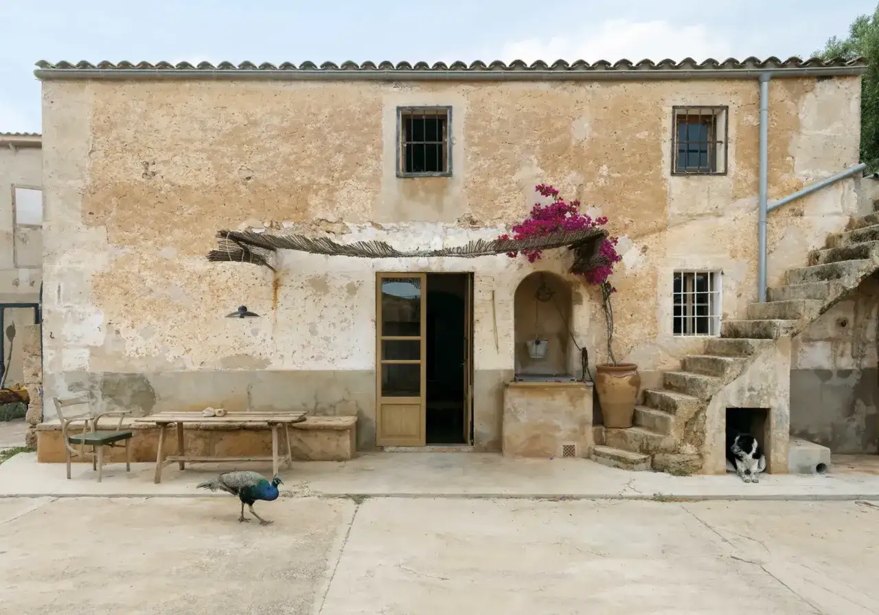 Fachadas exteriores de casas rústicas con un pavo real y un perro.