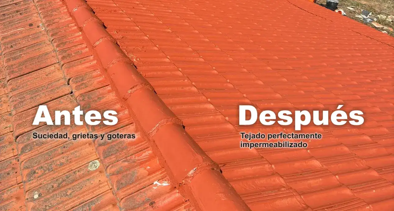 Tejado antes y después: suciedad y grietas reparadas sin quitar tejas. Impermeabilización perfecta.