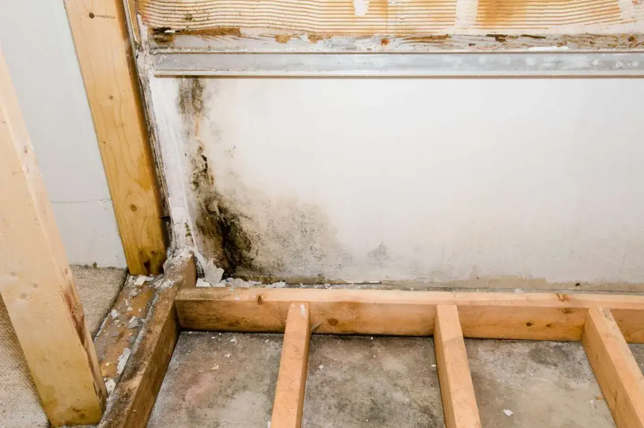 Manchas oscuras de moho en la pared, indicando un problema de humedad. La estructura de madera expuesta y el suelo de hormigón sugieren una zona en construcción o reparación.