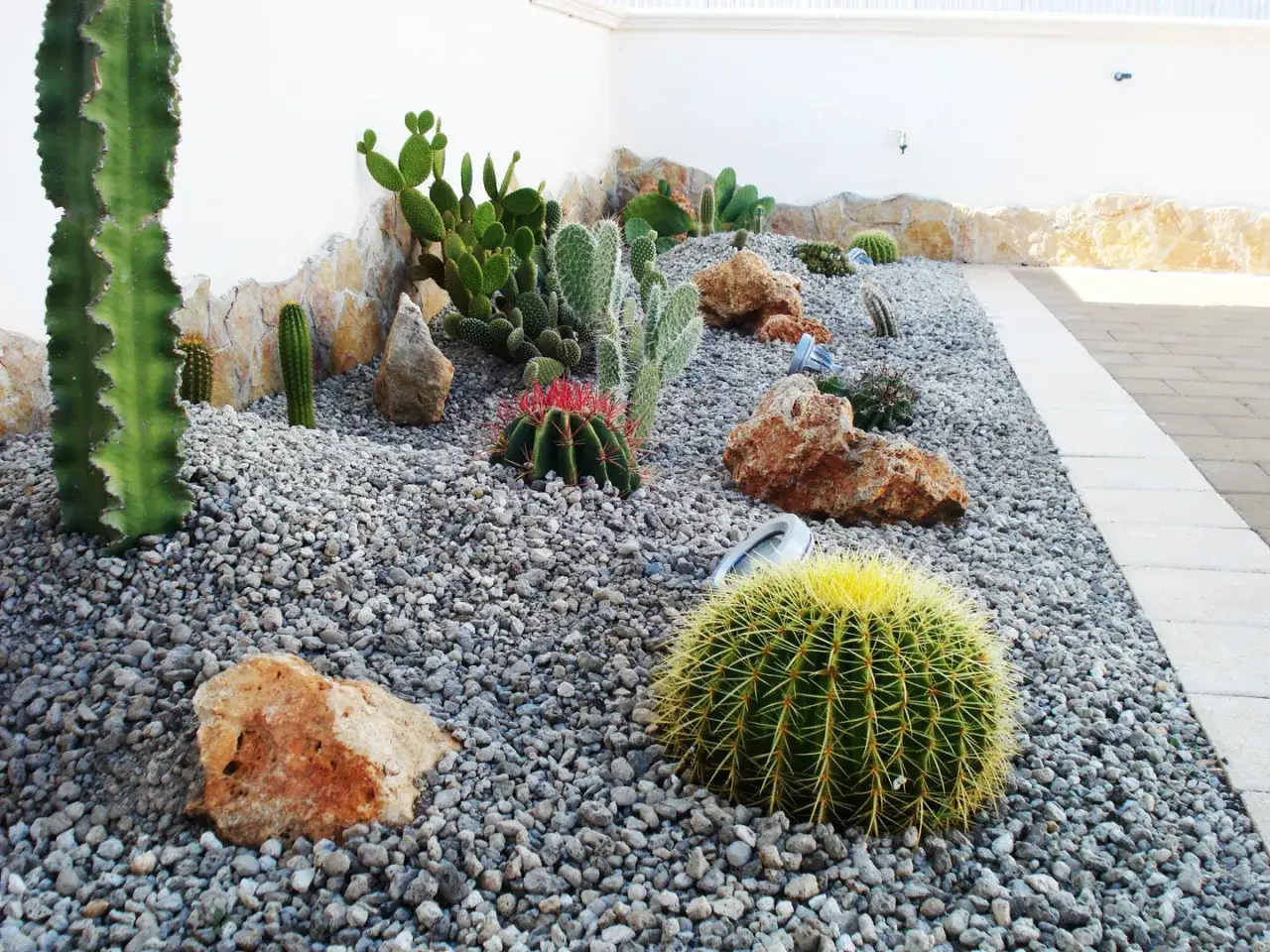 Un jardín desértico con cactus y rocas, ideal para decorar jardín con piedras.