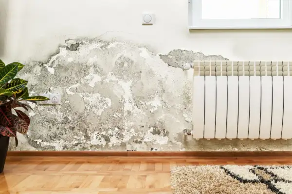 Mancha de moho en pared, un problema que requiere solución para quitar moho pared definitivamente.