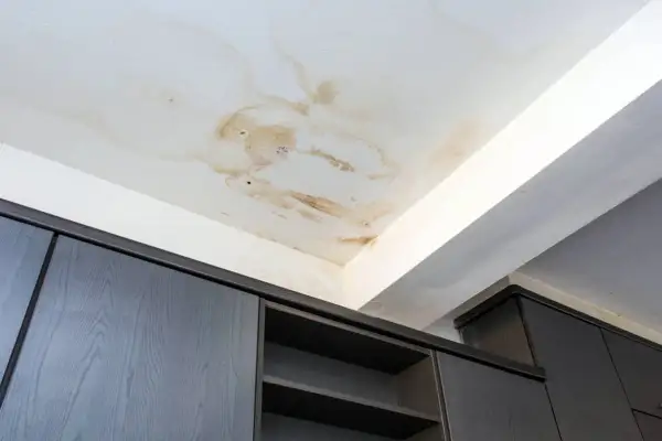 Manchas marrones y círculos oscuros en el techo blanco indican goteras. Los gabinetes de madera oscura debajo parecen seguros.