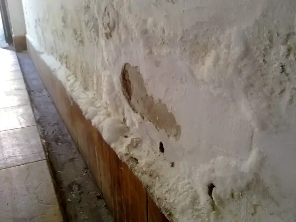 Pared con eflorescencias salinas y desconchones, indicativo de humedad por capilaridad. Se busca el mejor sistema para quitar humedades por capilaridad.